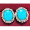 Image 2 : SILVER (3.8g) SLEEP BEAUTY TURQUOISE (APP 10ct) EARRING