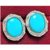Image 3 : SILVER (3.8g) SLEEP BEAUTY TURQUOISE (APP 10ct) EARRING