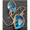 Image 3 : 10K (1g) BLUE TOPAZ (4.1ct) EARRING