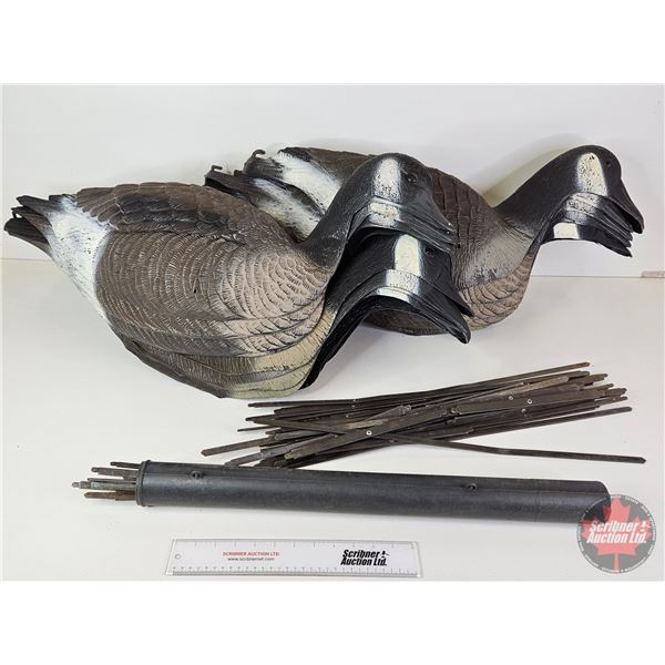 Canada Goose Decoys (12) w/CCM Bag  (Note : One Handle Ripped on Bag) (Bag Measures : 36"L x 16"W x 