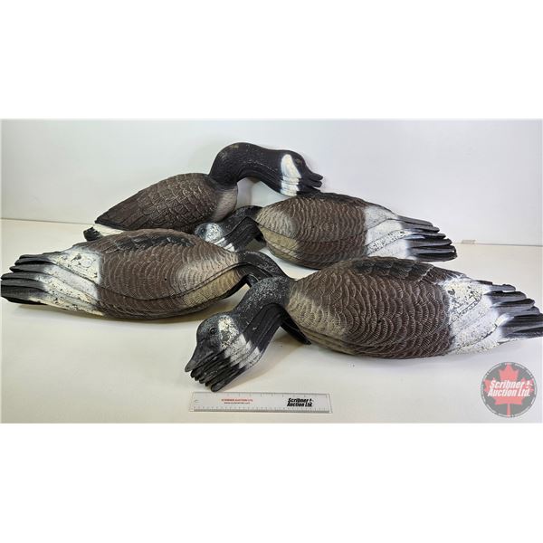 Variety of Canada Goose Decoys (24) w/Molson Canadian Bag  (Bag Measures : 36"L x 16"W x 18"H)