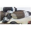 Image 4 : Variety of Canada Goose Decoys (24) w/Molson Canadian Bag  (Bag Measures : 36"L x 16"W x 18"H)