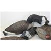 Image 5 : Variety of Canada Goose Decoys (24) w/Molson Canadian Bag  (Bag Measures : 36"L x 16"W x 18"H)