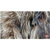 Image 5 : "Fur Gallery " Fur Coat  (Consignor Note : Raccoon) (Size: Approx Medium/Large) (Note : Missing One 
