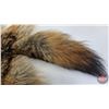 Image 5 : Coyote Fur Pelt (Measures : 57"L)