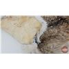 Image 6 : Coyote Fur Pelt (Measures : 57"L)