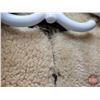 Image 6 : Vintage Sheepskin Leather Bomber Jacket (Size : Small/Medium)