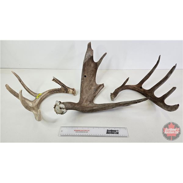 Antler Sheds (3)