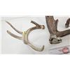 Image 4 : Antler Sheds (3)