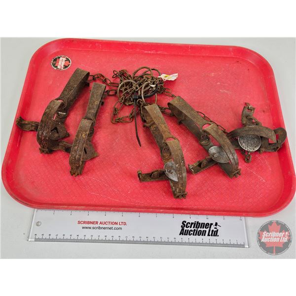 Vintage Small Pan Traps (5) :  - (2) Blake & Lamb - (1) King Bee - (2) Victor