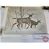 Image 2 : Vintage Canadian Wildlife Prints (2) : (Both Measure : 18" x 23")