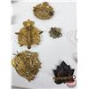 Image 13 : Canadian Army Caps Badges, Pins & Belt Buckle
