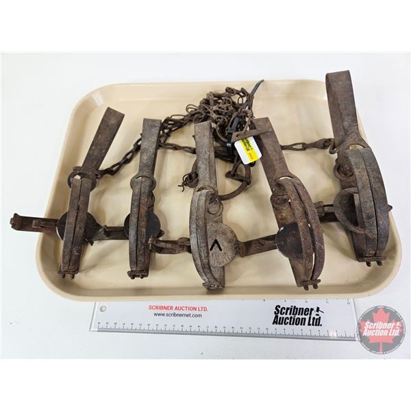 Variety of Pan Traps (5)  - Oneida & Victor