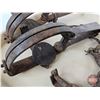 Image 3 : Variety of Pan Traps (5)  - Oneida & Victor