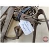 Image 7 : Variety of Pan Traps (5)  - Oneida & Victor