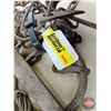 Image 8 : Variety of Pan Traps (5)  - Oneida & Victor