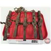 Image 1 : Pan Traps (5) : Victor No 2
