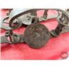 Image 6 : Pan Traps (5) : Victor No 2