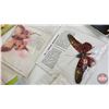 Image 2 : Vintage Tea Collectibles : Lipton Tea Felt Butterflies (8) & Red Rose/Blue Ribbon Collector Card Boo