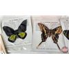 Image 4 : Vintage Tea Collectibles : Lipton Tea Felt Butterflies (8) & Red Rose/Blue Ribbon Collector Card Boo
