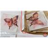 Image 5 : Vintage Tea Collectibles : Lipton Tea Felt Butterflies (8) & Red Rose/Blue Ribbon Collector Card Boo