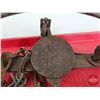 Image 4 : Pan Traps (3) : Triumph & Hawley (2)