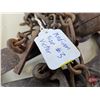 Image 7 : Pan Traps (5) : Victor