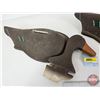 Image 5 : Vintage "Du-All Albert Lea Minn" Styrofoam Duck Decoys (2)  (Measures : 10-1/2"H x 8-1/2"W x 16"L)