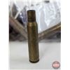 Image 3 : BRASS: 7mm (37 Count) & Case-Gard Plastic Case w/Brass : 7mm Rem Mag (60)