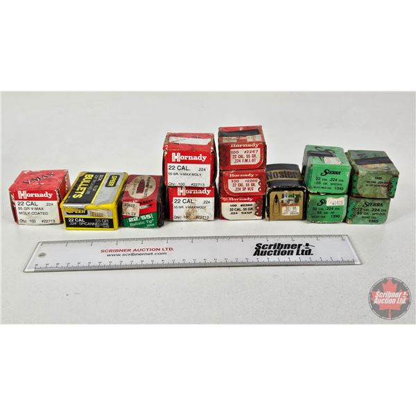 BULLETS: Variety .22 cal  (904 Count)