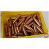 Image 6 : BULLETS: Variety .25 cal (100gr) (481 Count)