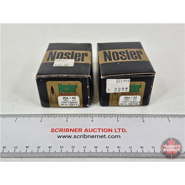 BULLETS: Variety .204 cal (61 Count of 32gr) (76 Count of 40gr)  (137 Count TOTAL)