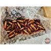 Image 2 : BULLETS: Variety .204 cal (61 Count of 32gr) (76 Count of 40gr)  (137 Count TOTAL)