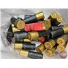 Image 3 : AMMO - Variety (Loose) : 12ga (2-3/4") (31 Rnds TOTAL)