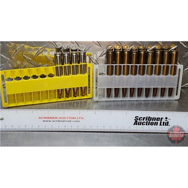 AMMO - Reloads : 270 Win (13 Rnds TOTAL)