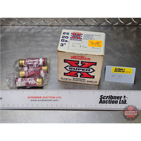 AMMO : 20ga ~ 3" (#6 Shot) (1 Box of 25 Rnds) ~ 2-3/4" (Slugs) (Bag of 5 Rnds) (30 Rnds TOTAL)