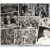 Image 1 : Madame Du Barry {1934}