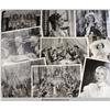 Image 4 : Madame Du Barry {1934}