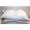 Image 1 : 2PK BEAUTYREST FEATHER PILLOWS