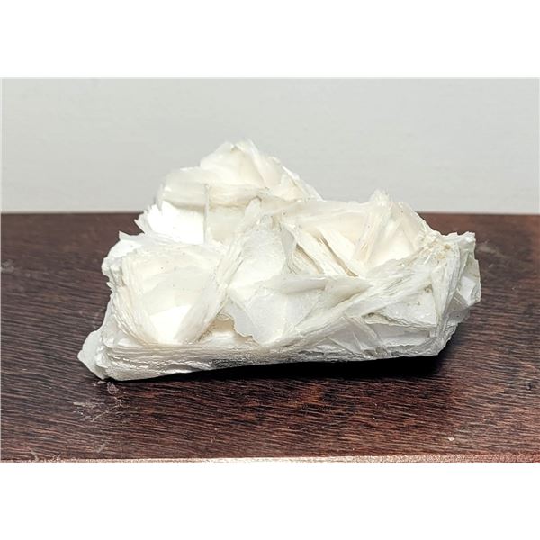 2)  NATURAL 57.6 GRAMS PHOSPHORITE