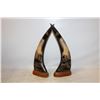 Image 1 : TWO MATCHING BUFFALO HORN EAGLES