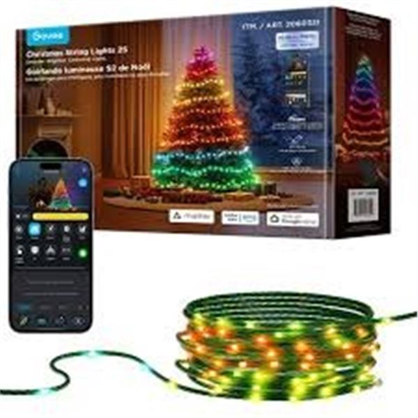 BRAND NEW GOVEE CHRISTMAS STRING LIGHTS 2S 100FT