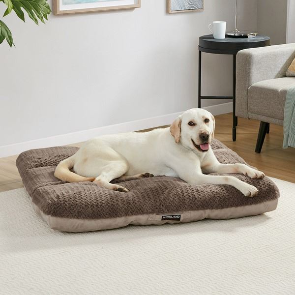 NEW DOG BED