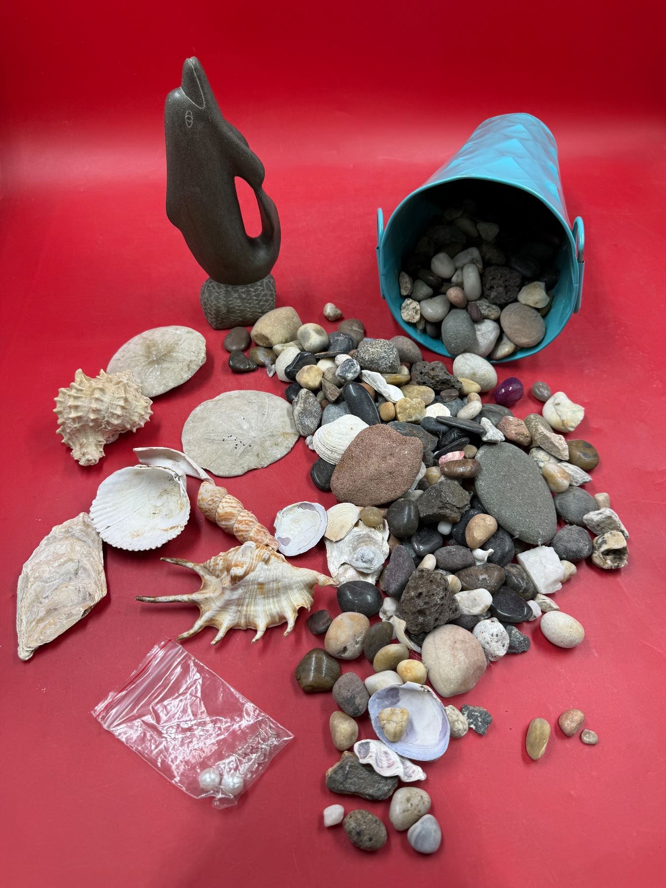 Sea Shells, Mineral Rocks, & Carved Stone Dolphin