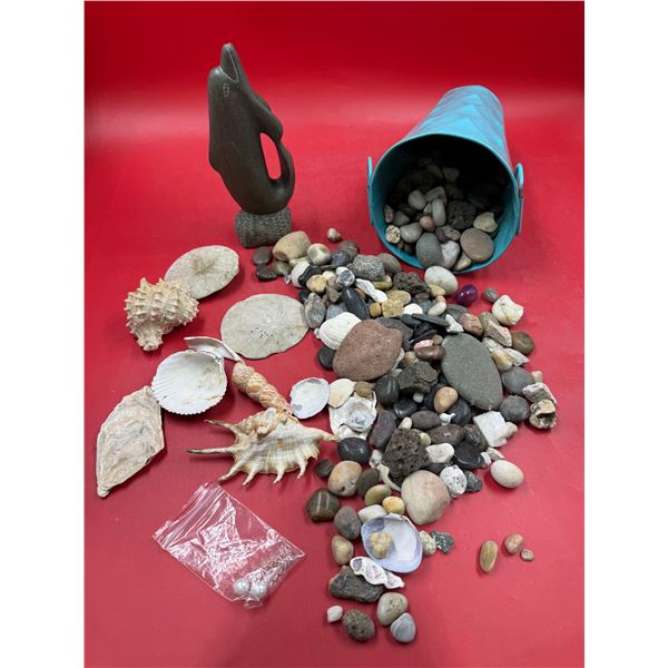 Sea Shells, Mineral Rocks, & Carved Stone Dolphin