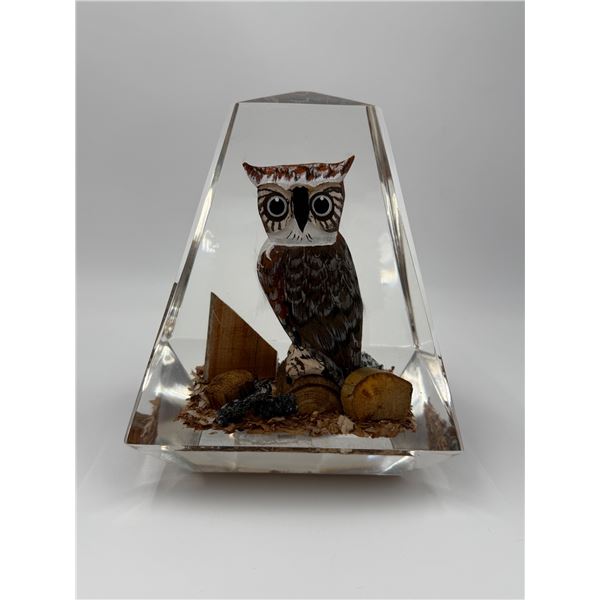 Mid Century Modern Carved Great Horned Owl Encased In Lucite