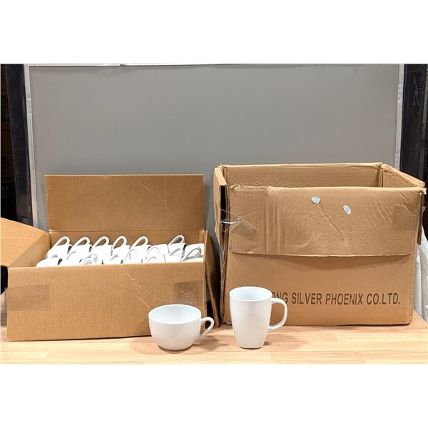 Assorted White Cups - Lot of 48pcs - LL7/EC5
