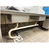 Image 15 : Metal 3-Basin Sink w/ Drainboards, Faucet 182"L x 28"W (contents not included)