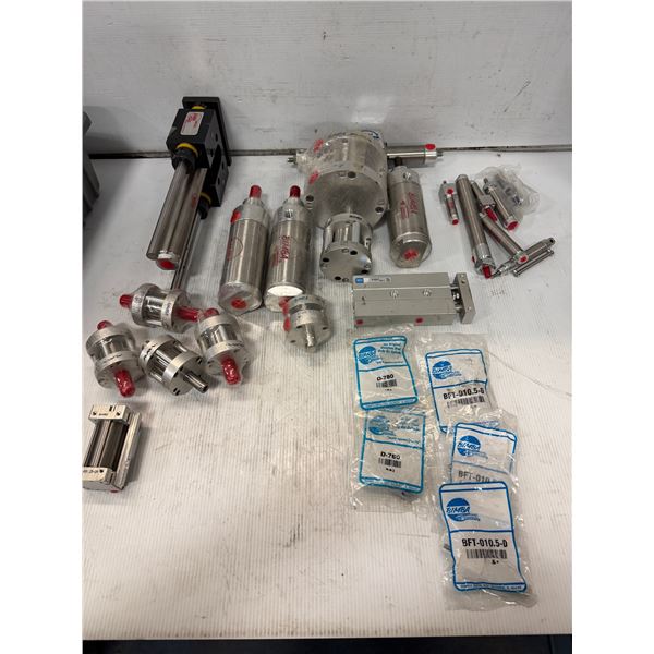 Lot of Bimba Cylinders