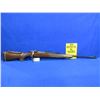 Image 5 : Non-Restricted - BSA Bolt Action in 308 Win